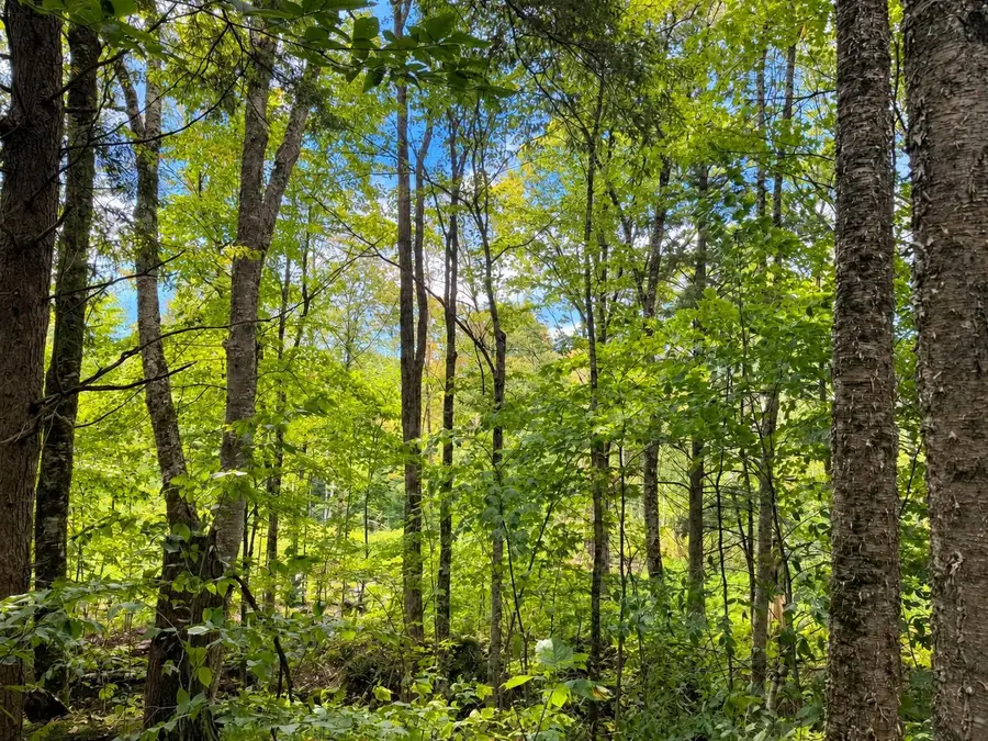 0 Montgomery Heights Road, Montgomery, VT 05470 - #3