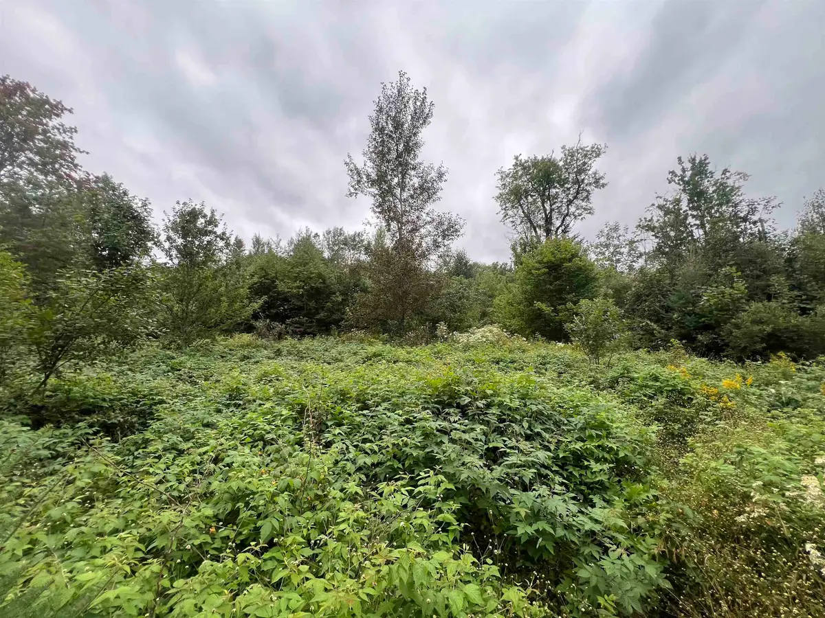 0 Red Schoolhouse Road, Wheelock, VT 05851 - #1