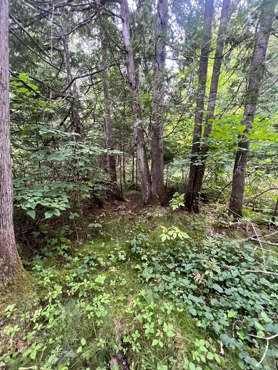 0 Red Schoolhouse Road, Wheelock, VT 05851 - #2