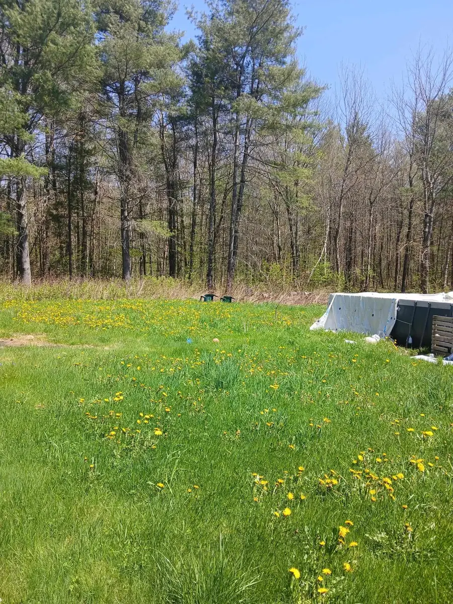 207 Marlow Hill Road, Marlow, NH 03456 - #2