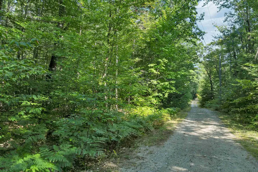 9 Waldsbut Road, Madison, NH 03849 - #2