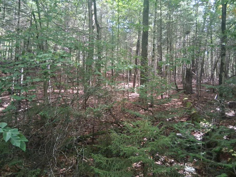 14-257 Garfield Road #N-6 Sec2, Washington, NH 03280 - #2