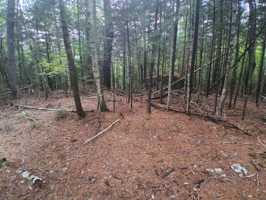 14-257 Garfield Road #N-6 Sec2, Washington, NH 03280 - #3