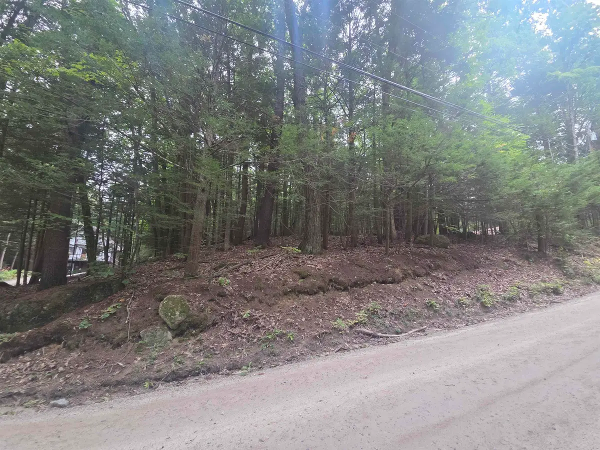 Map 09 Lot 30 Gould Pond Road, Hillsborough, NH 03244 - #1