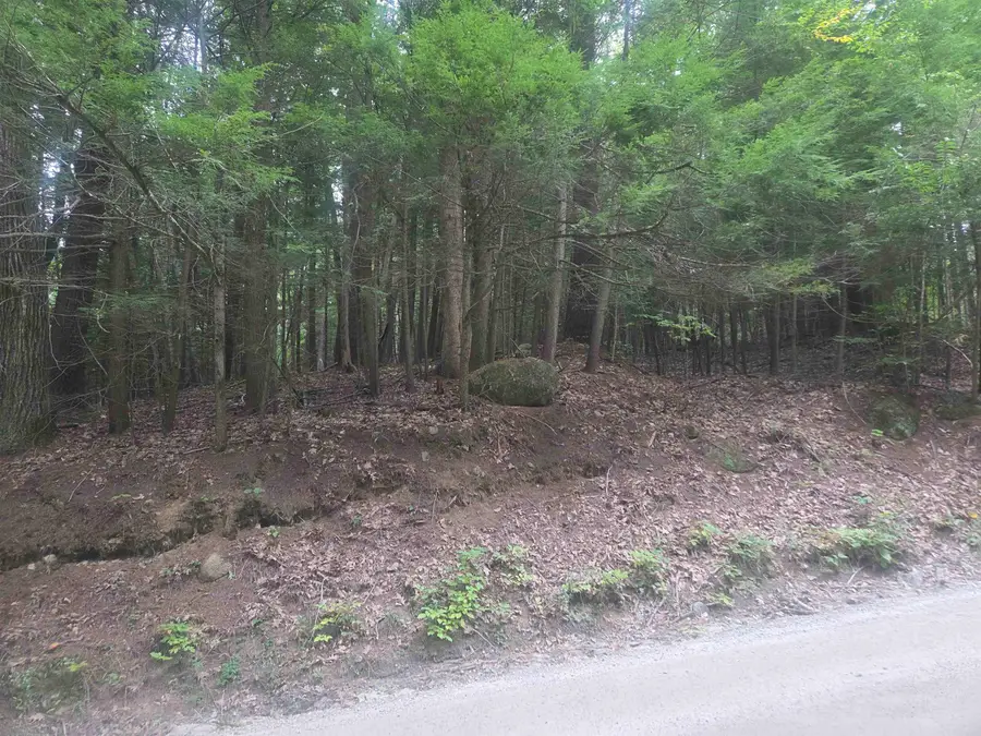 Map 09 Lot 30 Gould Pond Road, Hillsborough, NH 03244 - #2