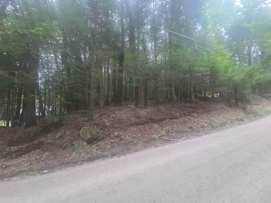 Map 09 Lot 30 Gould Pond Road, Hillsborough, NH 03244 - #3