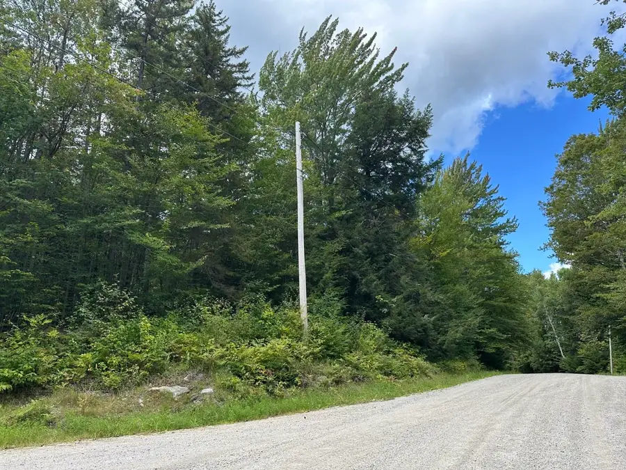 145 Highland View Road, Weston, VT 05161 - #3
