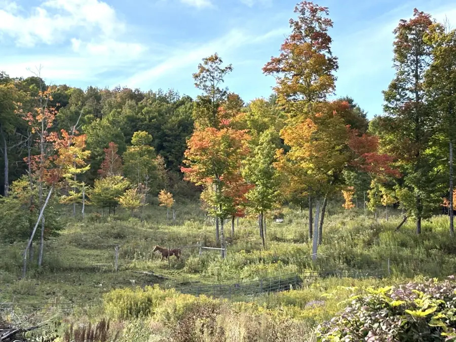 478 MacDonald Road, Washington, VT 05676 - #3