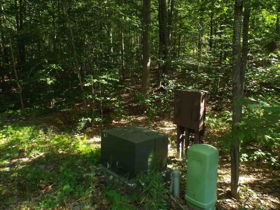 5 Squam River Landing, Ashland, NH 03217 - #3