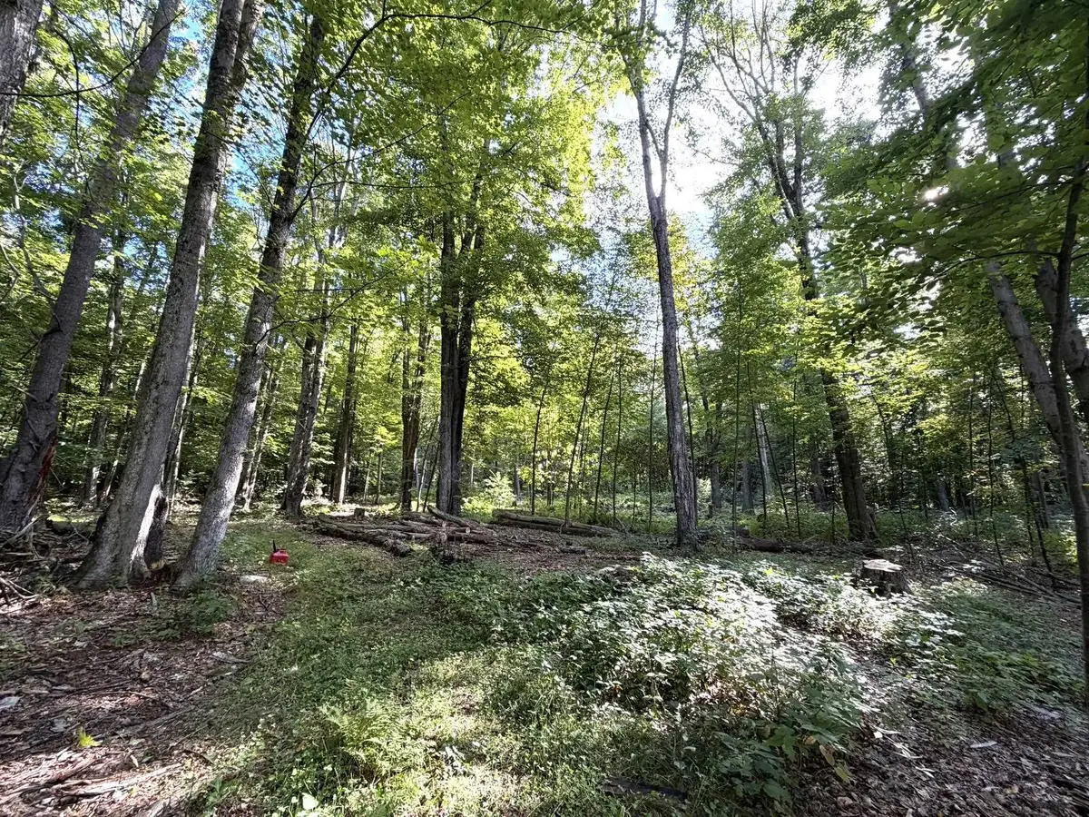 0 Ladd Road, Pownal, VT 05261 - #1