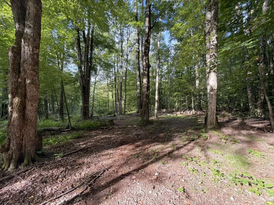 0 Ladd Road, Pownal, VT 05261 - #3