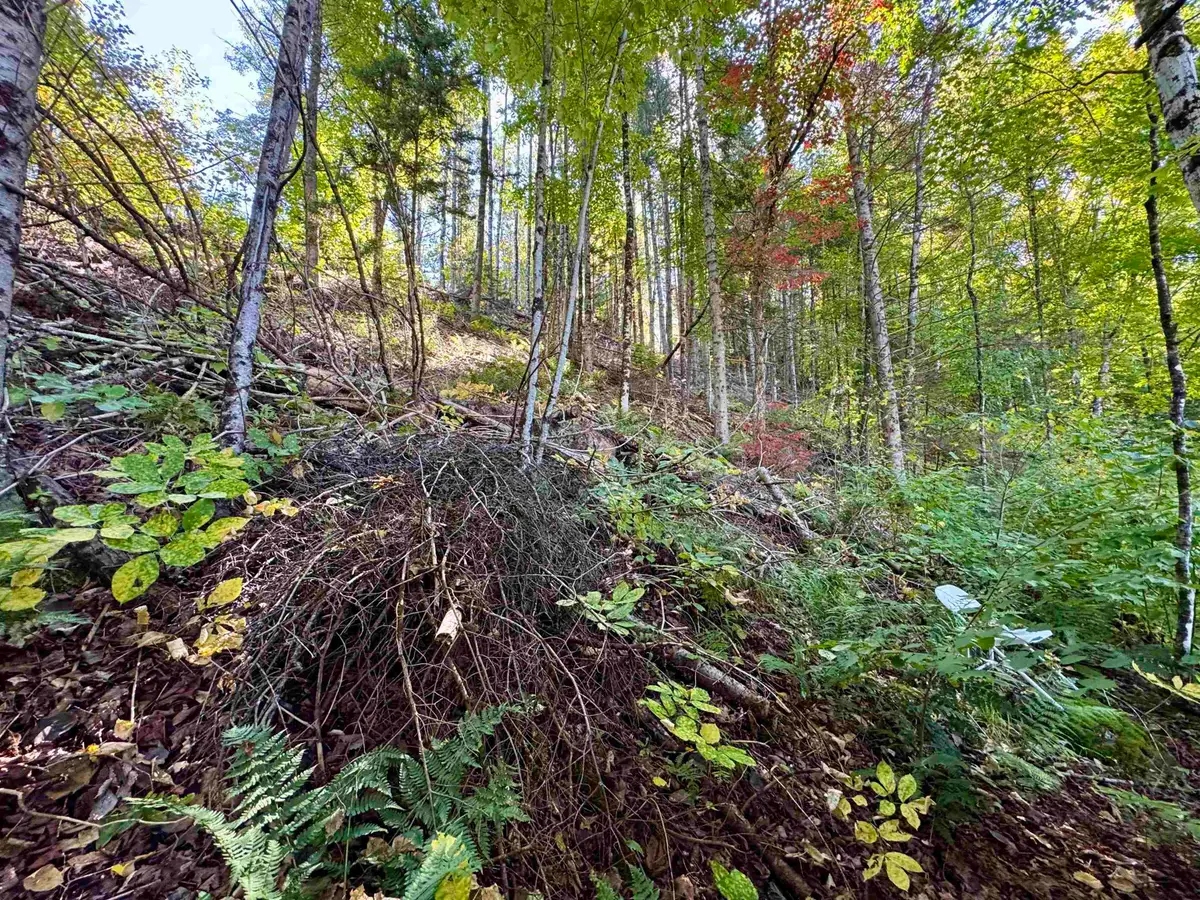 24 Marsh Road, Columbia, NH 03590 - #1