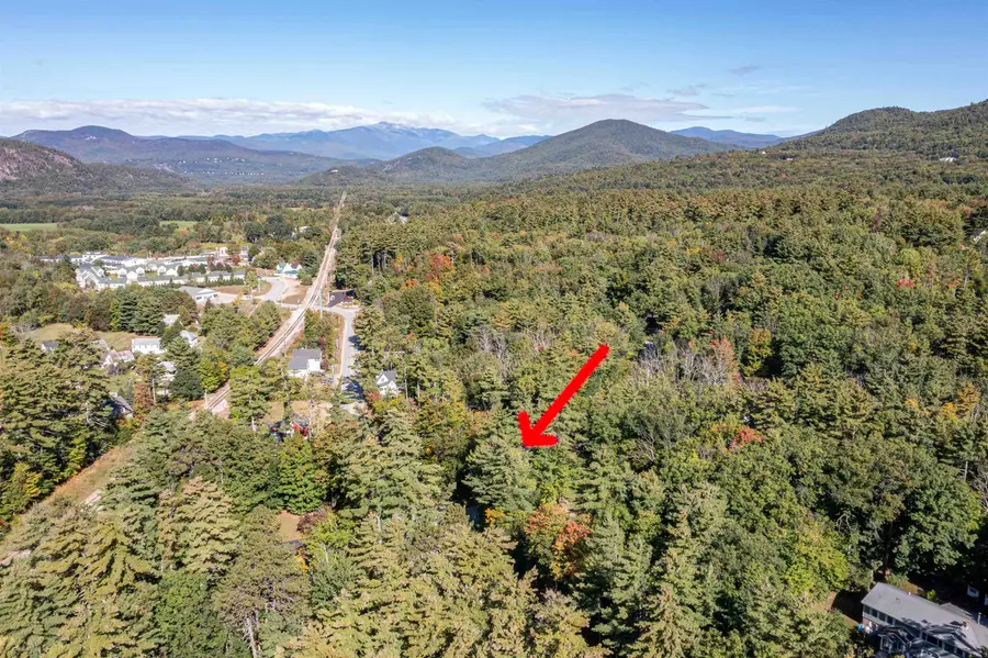 204 Intervale Cross Road, North Conway, NH 03860 - #3