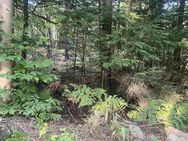 Lot 2 Clif Reynolds Road, Cambridge, VT 05444