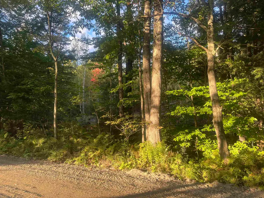 Lot 2 Clif Reynolds Road, Cambridge, VT 05444 - #2