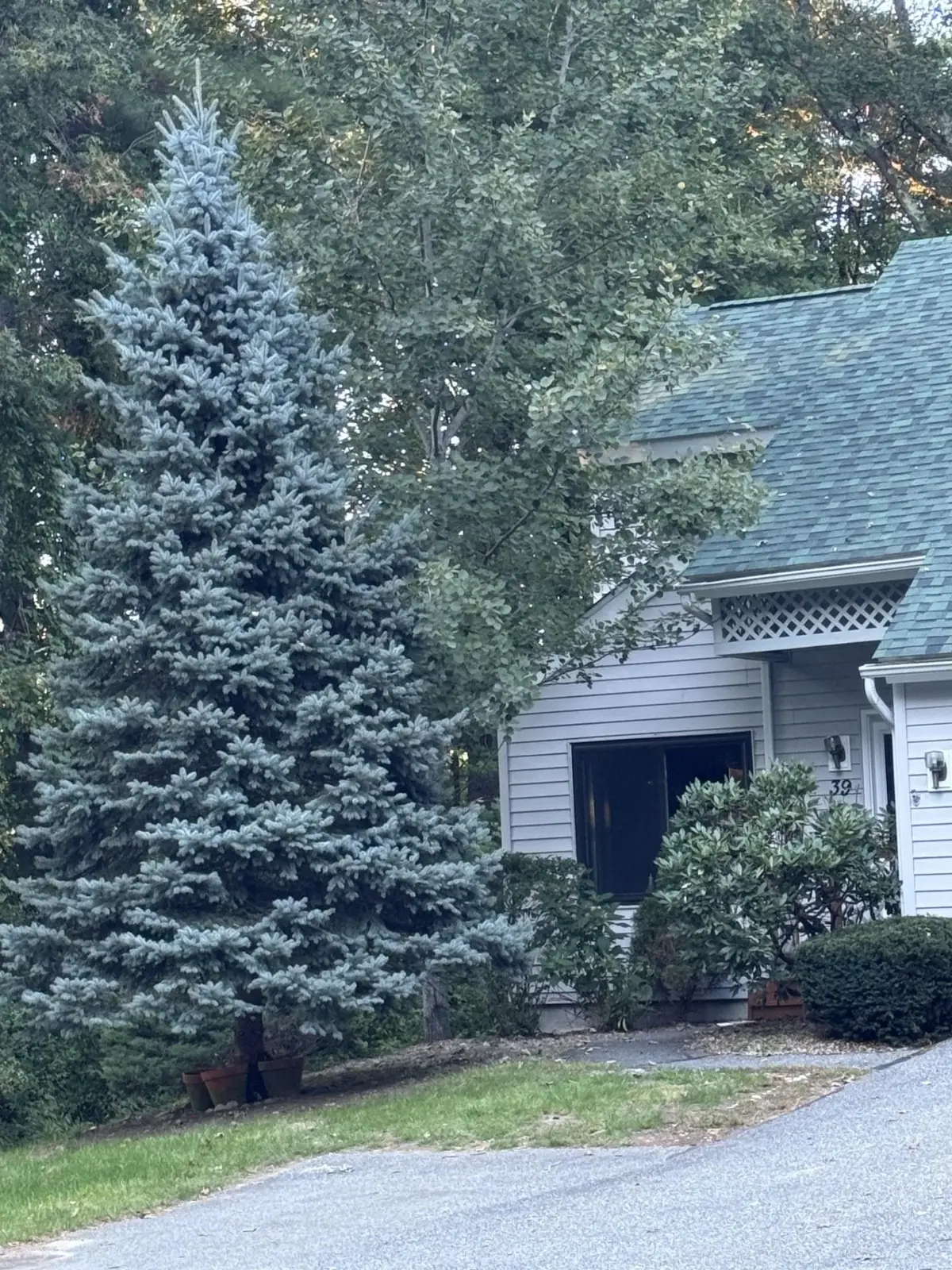 39 Aspen Drive, Atkinson, NH 03811 - #1