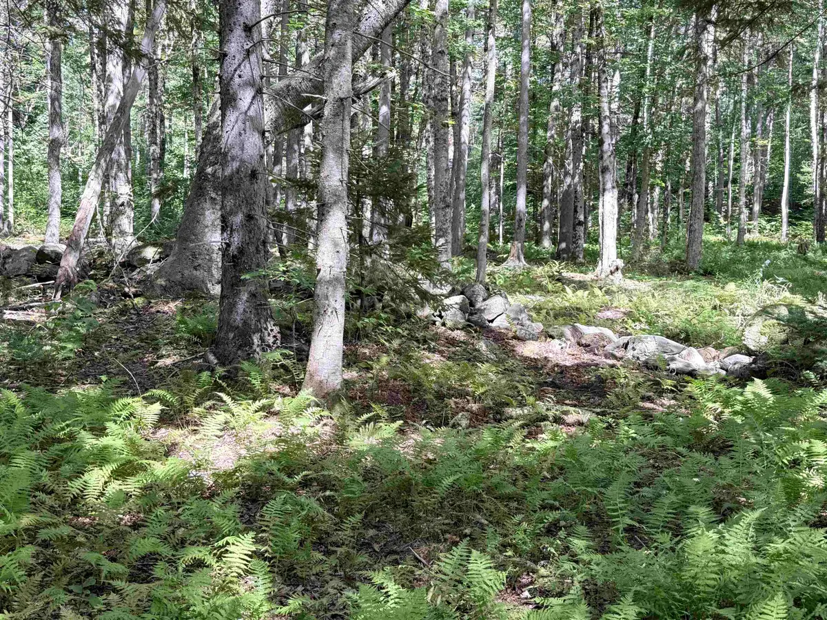 0 Cross Road, Windham, VT 05359 - #1