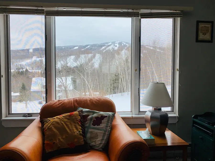 34 Snow Tree Lane #Meadows B, Dover, VT 05356 - #2