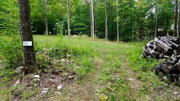 0 Pasquale Street #Lot 11, Chittenden, VT 05737