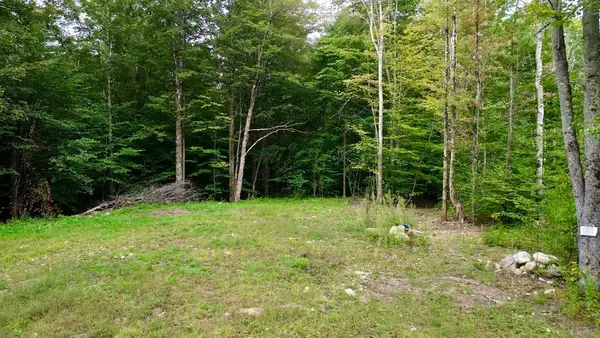 0 Pasquale Street #Lot 13, Chittenden, VT 05737