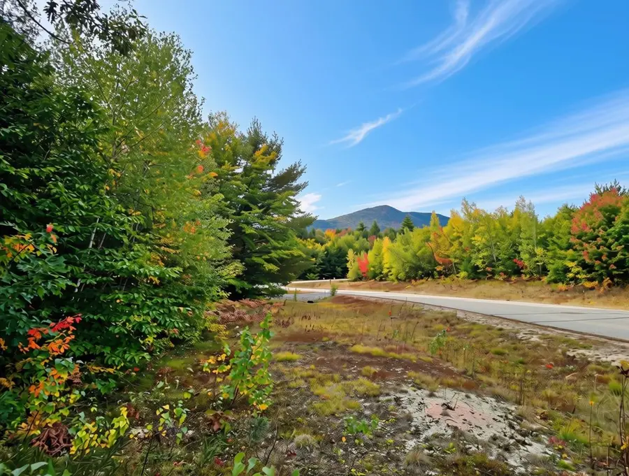 00 Margaret Place #Map 250 Lot 80, Conway, NH 03818 - #2