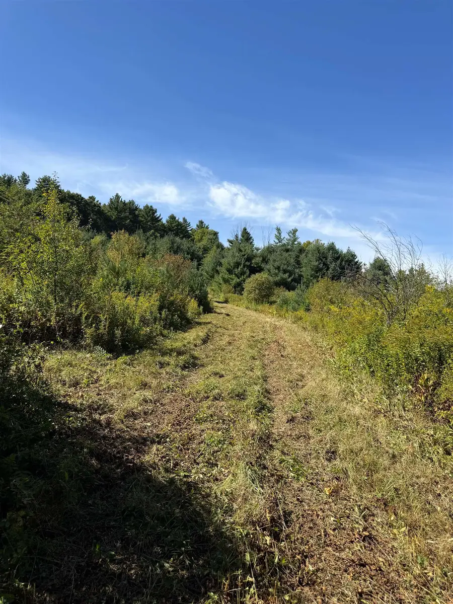 Woodbury & Eureka Road, Springfield, VT 05156 - #3