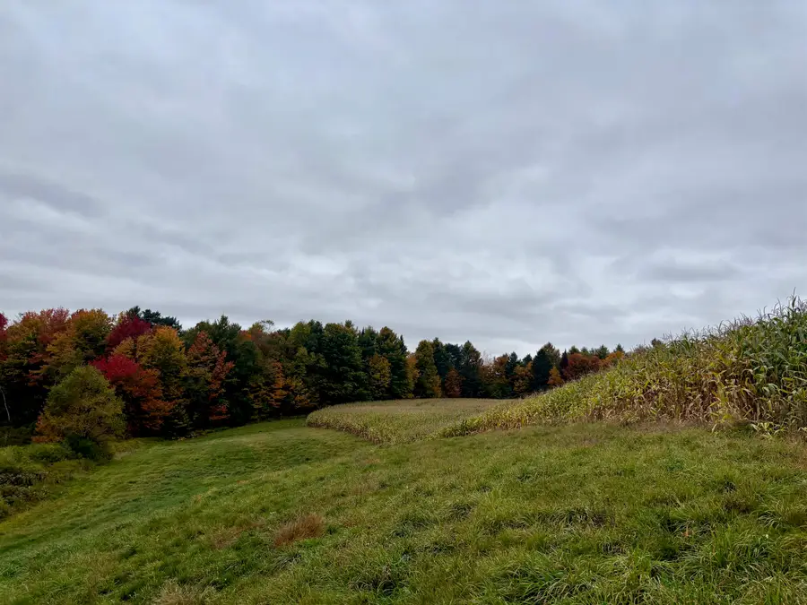 0000 Lily Pond Road #6, Lyndonville, VT 05851 - #3