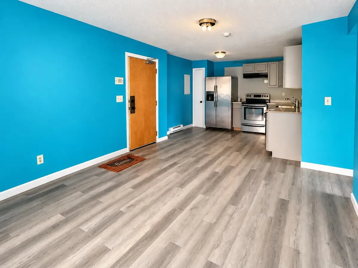 30 Beech Street #1B, Bristol, NH 03222 - #1
