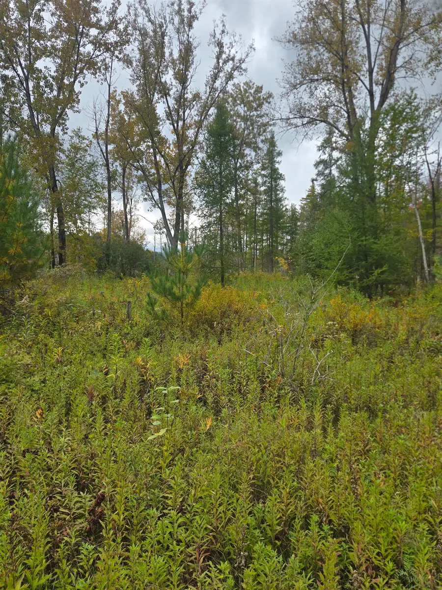 265 East Clarendon Road, Clarendon, VT 05759 - #2