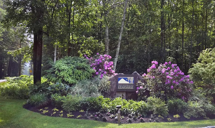 64 Wildflower Trail #21, Intervale, NH 03860 - #2