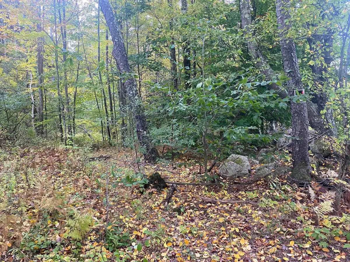 00 Bugbee Road, Springfield, VT 05156 - #1