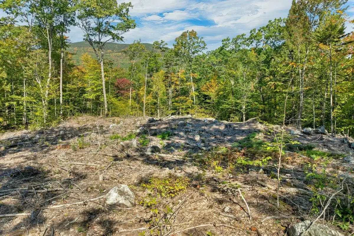 Lot 22 Mt Israel Road, Sandwich, NH 03227 - #1