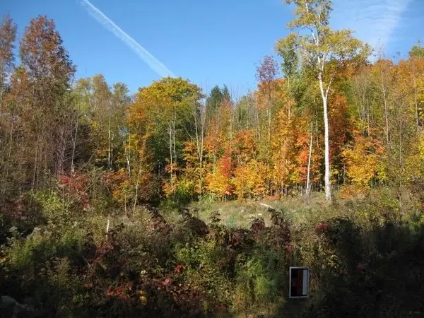 71 Overlook Lane, Westmore, VT 05860