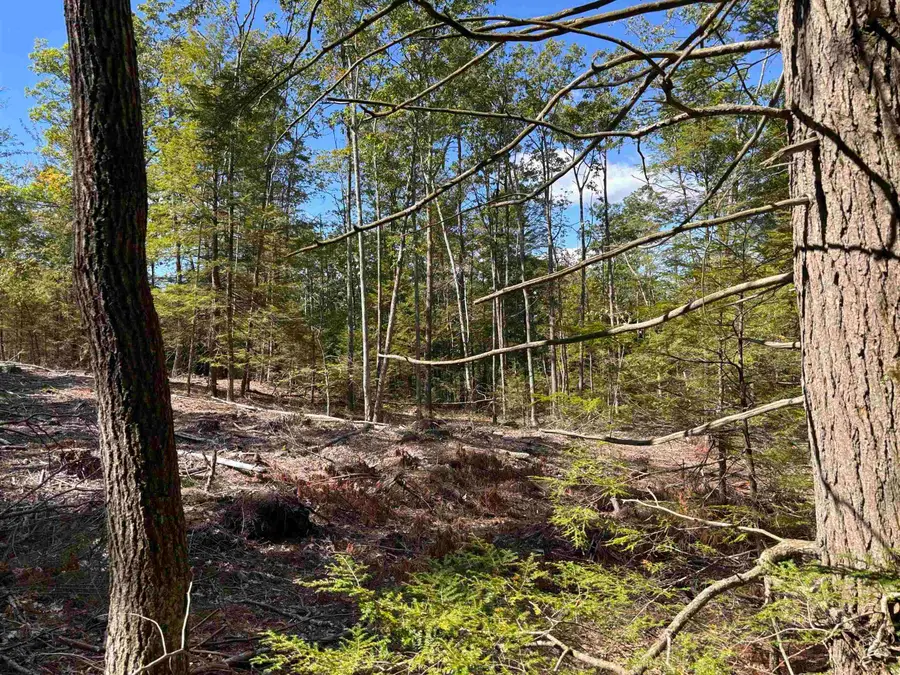 M404 L3 Taylor Hill Road, Richmond, NH 03470 - #3
