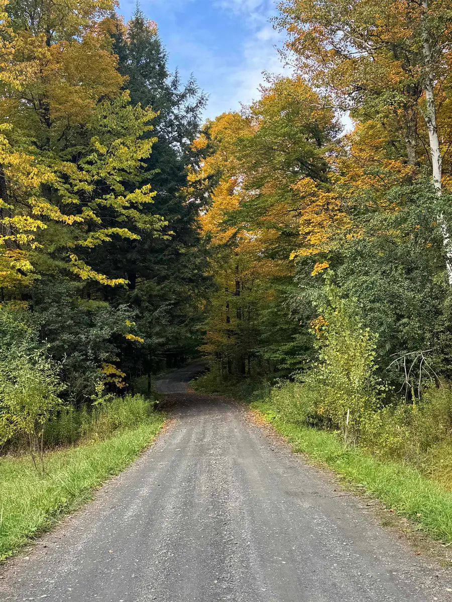 200 Rowell Hill Road, Berlin, VT 05602 - #2