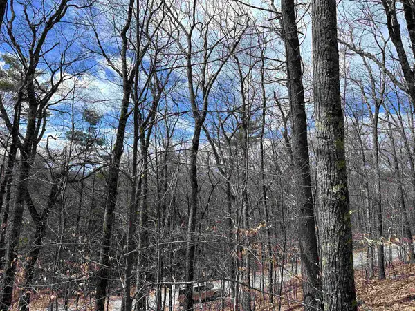 19 Saint Moritz Drive, Madison, NH 03849