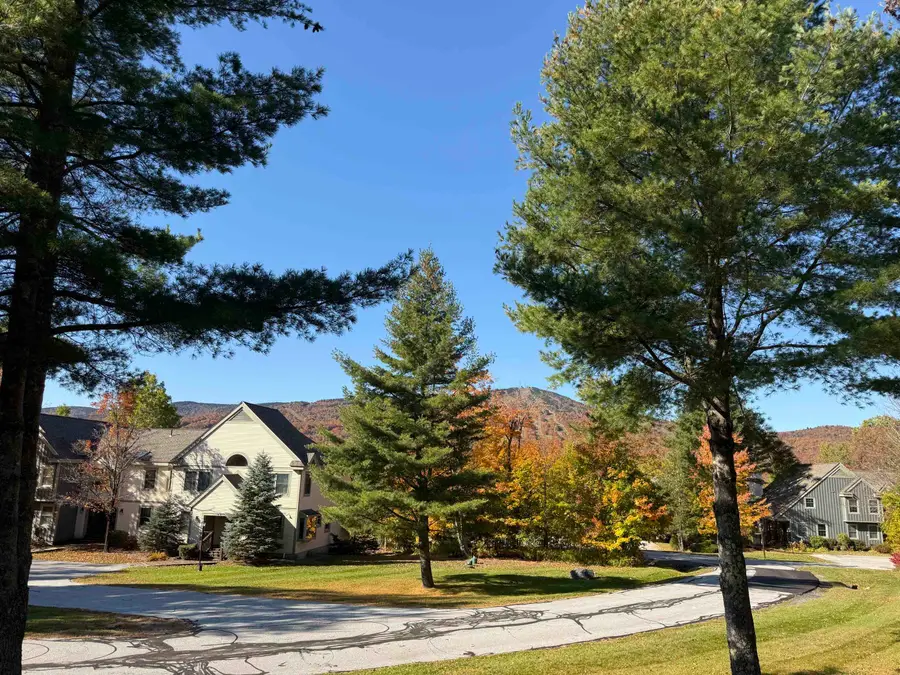 83C Greensprings Road, Dover, VT 05356 - #2
