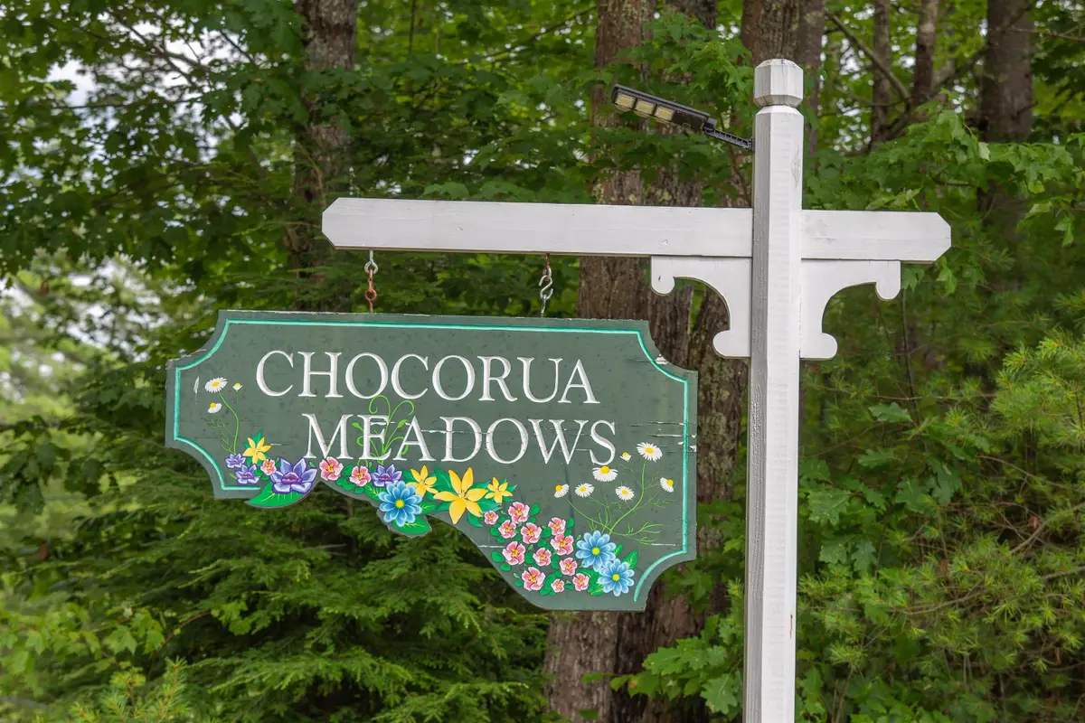 00 Alden Washburn Drive, Chocorua, NH 03817 - #1