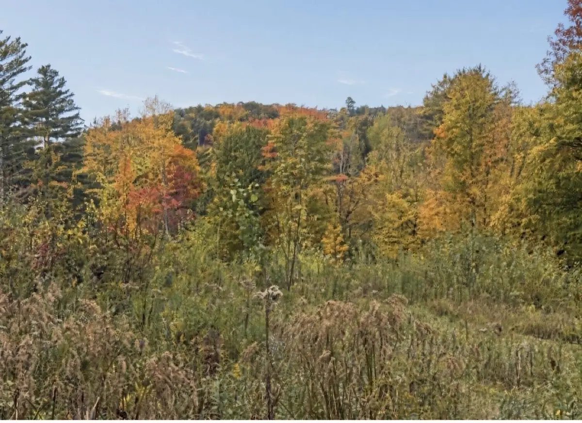 TBD Jericho Road, Richmond, VT 05477 - #1