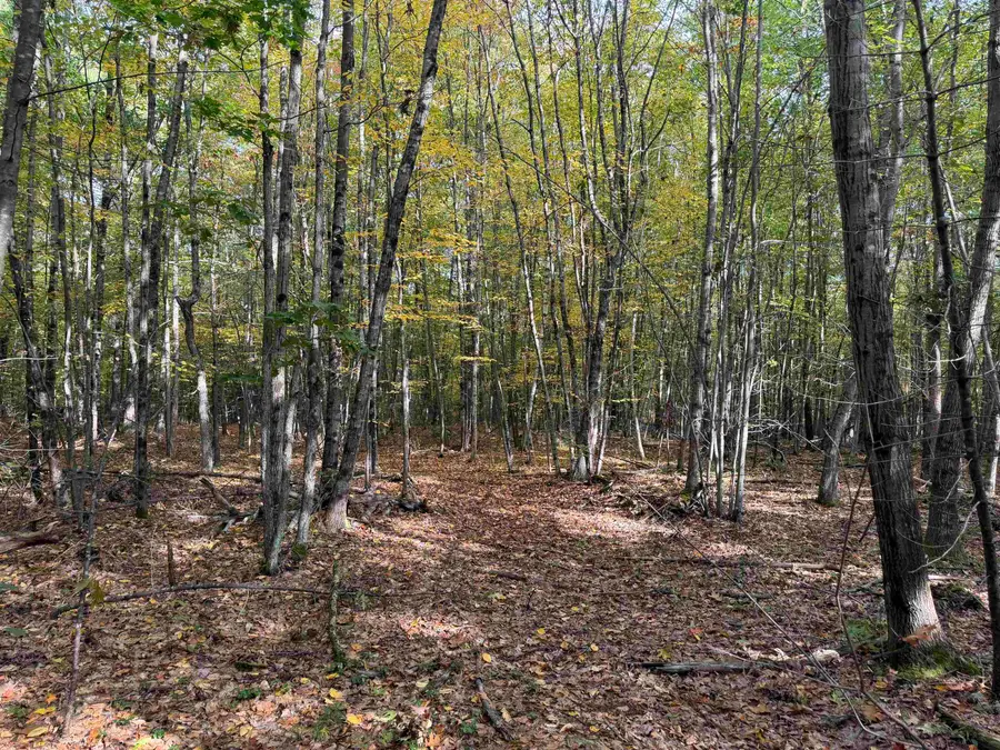 57 Quinns Field, Rochester, NH 03867 - #3