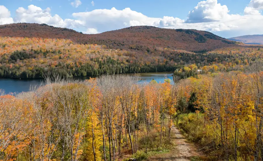 00 Center Pond Road, Newark, VT 05871 - #2