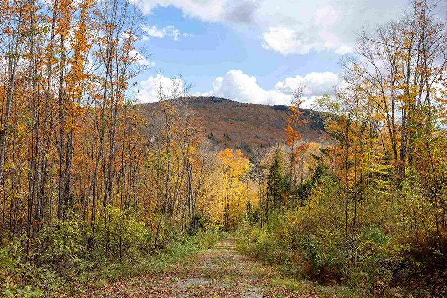 00 Center Pond Road, Newark, VT 05871 - #3
