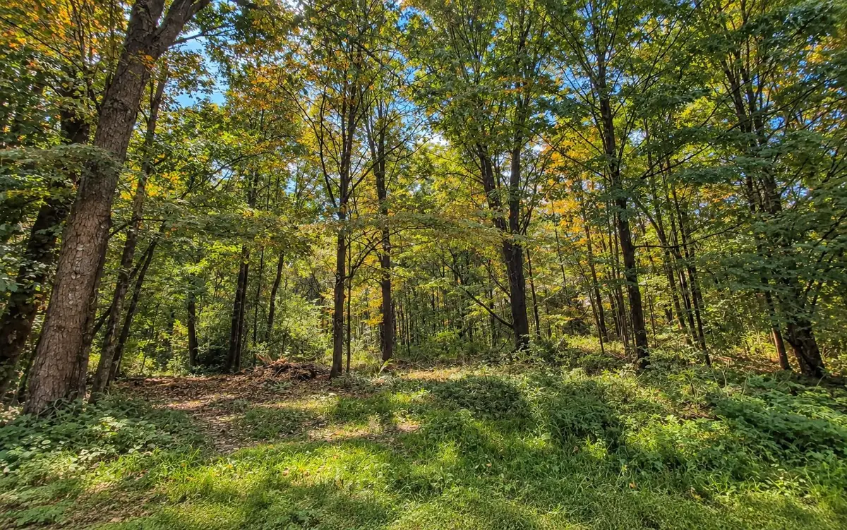 Lot 2 MA-41, Richmond, MA 01254 - #1