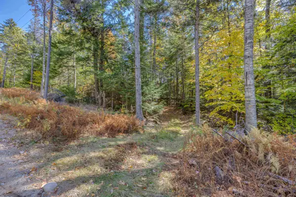 Mill Brook Road, Thornton, NH 03223