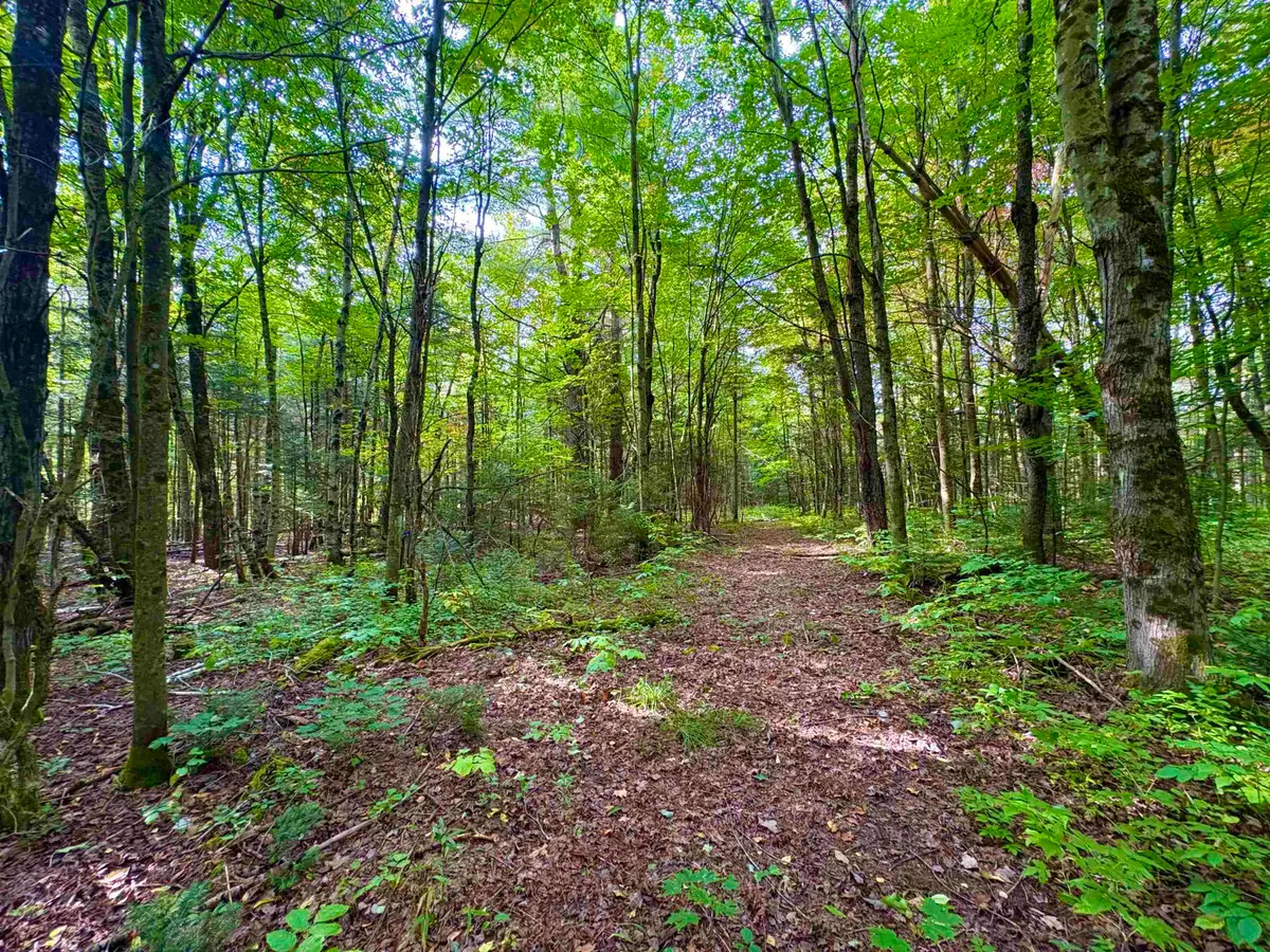 0 Partridge Hollow Road, Jay, VT 05859 - #1