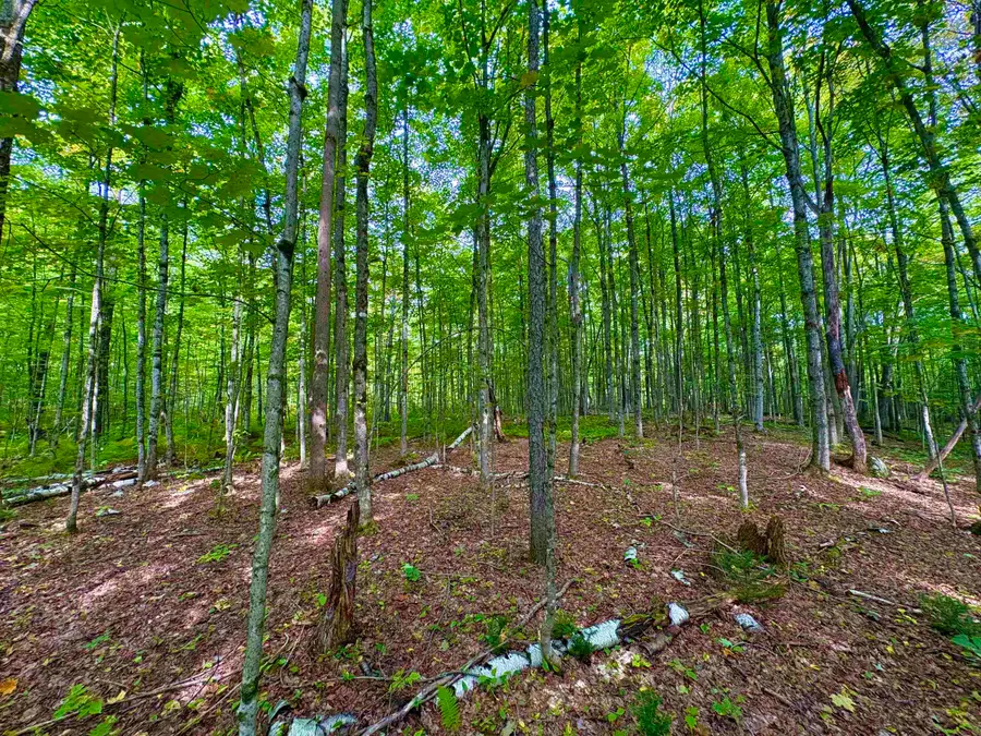 0 Partridge Hollow Road, Jay, VT 05859 - #3