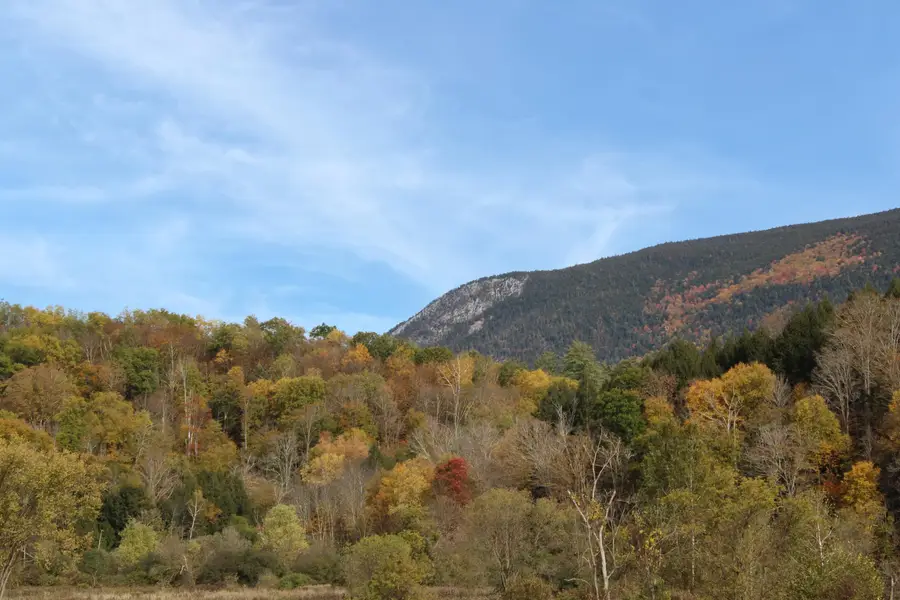 2674 US Route 7 S, Wallingford, VT 05773 - #2