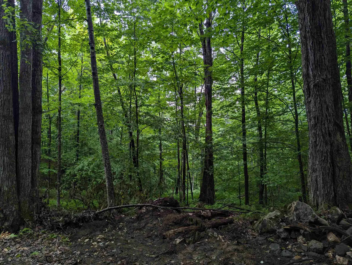 0 Dover Road #Lot 4, Williamsville, VT 05351 - #1