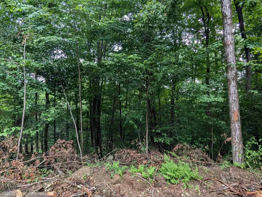 0 Dover Road #Lot 4, Williamsville, VT 05351 - #2