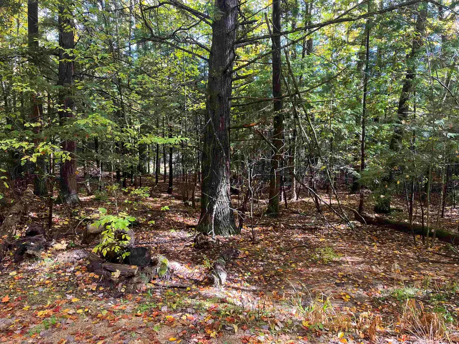 83 Sargent Lake Road, Belmont, NH 03220 - #2